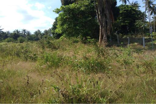 Land for Sale: Mountain View @ Mae Nam - 920121018-219