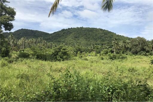 Land for Sale: Mountain View @ Mae Nam - 920121018-219