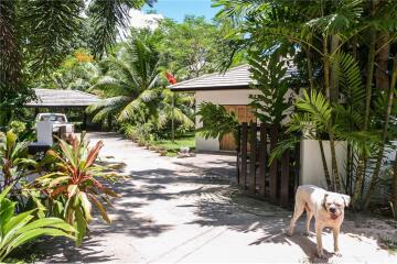 3 BEDS 4 BATHS POOL VILLA FOR SALE IN MAE NUM