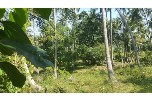 2500 SQM seaview land in  Khanom (Naern Thae Wada)