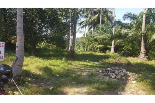 2500 SQM seaview land in  Khanom (Naern Thae Wada)