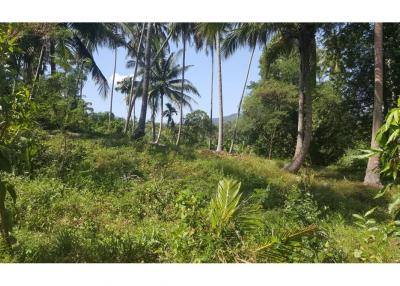 2500 SQM seaview land in  Khanom (Naern Thae Wada) - 920121030-88