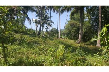 2500 SQM seaview land in  Khanom (Naern Thae Wada)