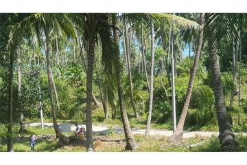 2500 SQM seaview land in  Khanom (Naern Thae Wada)