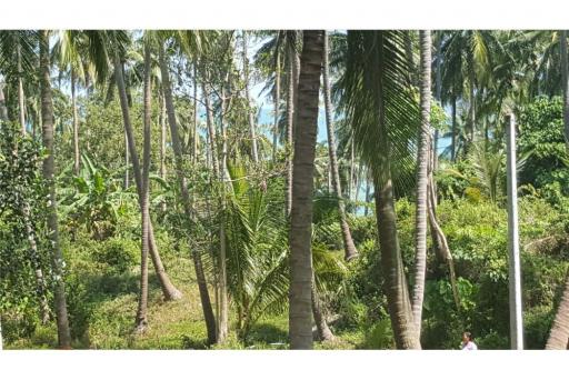 2500 SQM seaview land in  Khanom (Naern Thae Wada)