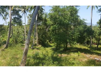 2500 SQM seaview land in  Khanom (Naern Thae Wada)