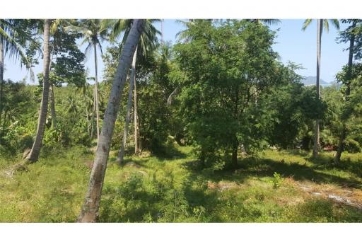 2500 SQM seaview land in  Khanom (Naern Thae Wada)