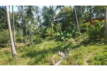 2500 SQM seaview land in  Khanom (Naern Thae Wada)