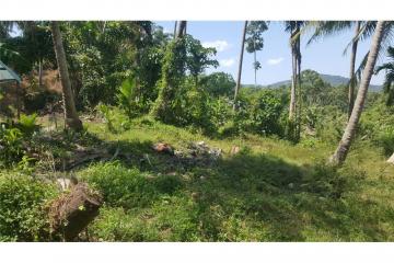 2500 SQM seaview land in  Khanom (Naern Thae Wada)