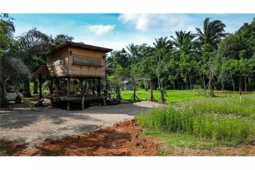 Land for Sale in Chong Phi Krabi - 920281012-45