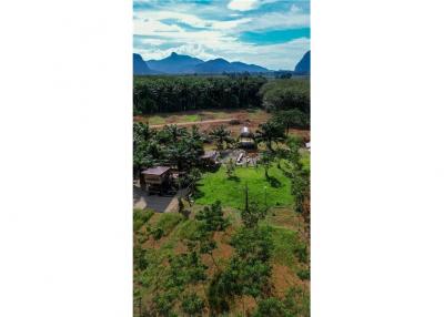 1,600 Sqm. Land listed for ฿1,500,000.