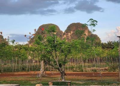 Land for Sale in Chong Phi Krabi - 920281012-45