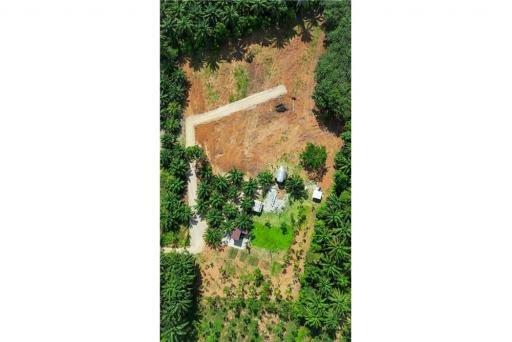 Land for Sale in Chong Phi Krabi - 920281012-45