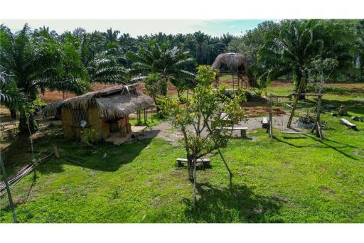 Land for Sale in Chong Phi Krabi - 920281012-45
