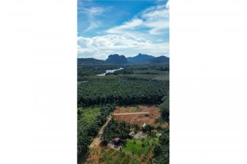 Land for Sale in Chong Phi Krabi - 920281012-45