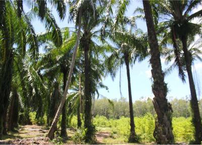 Land for sale, the most beautiful land, 180° - 920281014-8