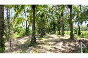 Land for sale, the most beautiful land, 180° - 920281014-8