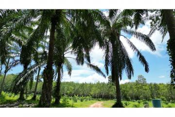 Land for sale, the most beautiful land, 180° - 920281014-8