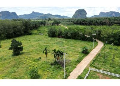 Land for Sale in Nhong Thale Krabi - 920281012-41