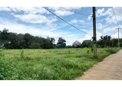 Land for Sale in Nhong Thale Krabi - 920281012-41