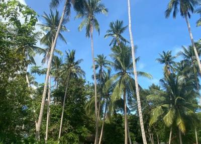 Prime Land Parcel in Ideal Location Bantai Beach at 3 minutes