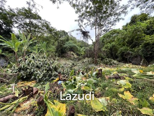 Seaview land for sale in Kata