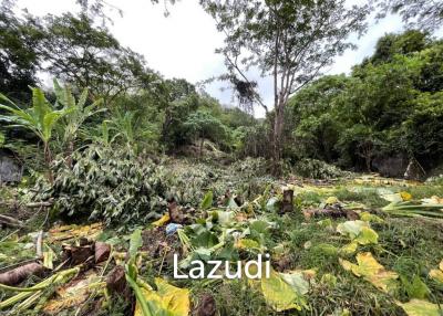 Seaview land for sale in Kata