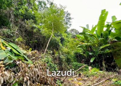 Seaview land for sale in Kata