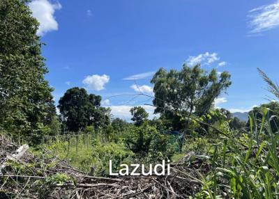 Lush Green Flat Land Plots in Bang Rak