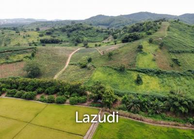 258 Rai Land For Sale Near The Golden Triangle