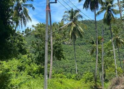 Seaside Sanctuary: 6,800 Sqm of Paradise with Road Access and Electricity in South Samui