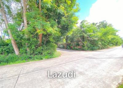 30,400 SQ.M Land for Sale on Coconut Island