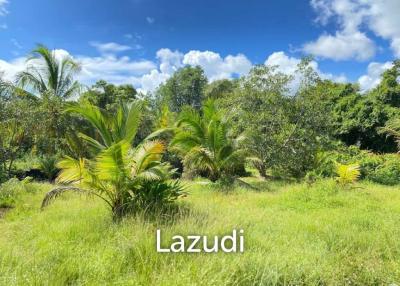 30,400 SQ.M Land for Sale on Coconut Island