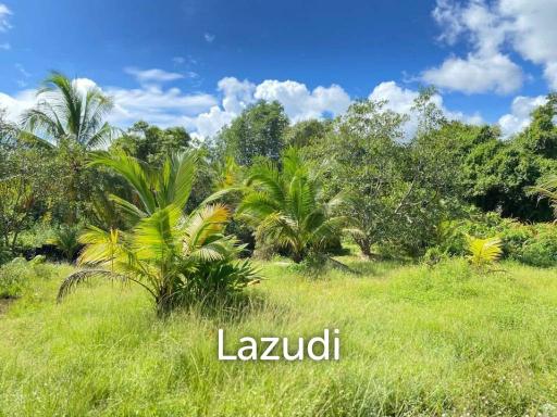 30,400 SQ.M Land for Sale on Coconut Island