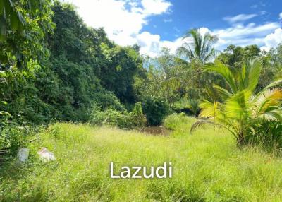 30,400 SQ.M Land for Sale on Coconut Island