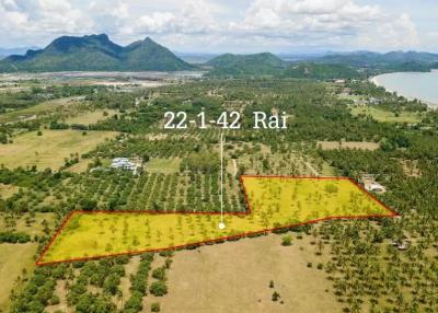 Large plot of Land for Sale at Dolphin Bay