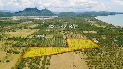 Large plot of Land for Sale at Dolphin Bay