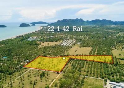 Large plot of Land for Sale at Dolphin Bay