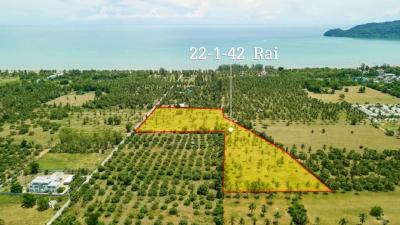 Large plot of Land for Sale at Dolphin Bay