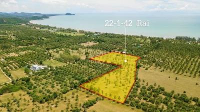 Large plot of Land for Sale at Dolphin Bay