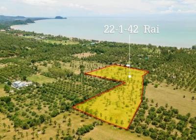 Large plot of Land for Sale at Dolphin Bay