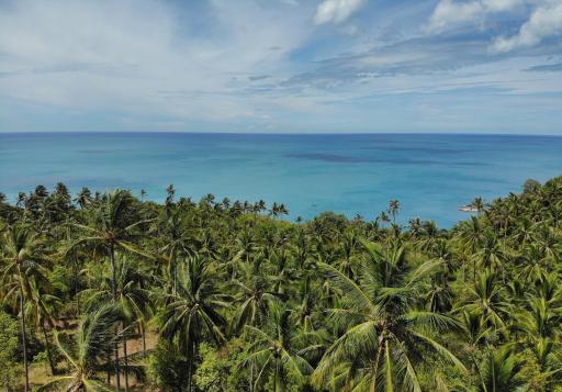 Sea-view land for sale Koh Phangan