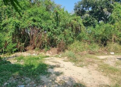 Na Kluea Great Land Plot for Sale