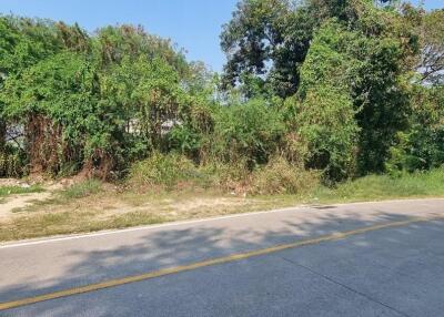 Na Kluea Great Land Plot for Sale