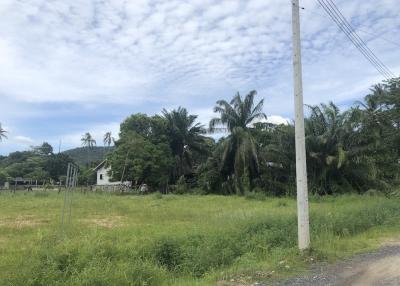 Land plot for sale in Rawai