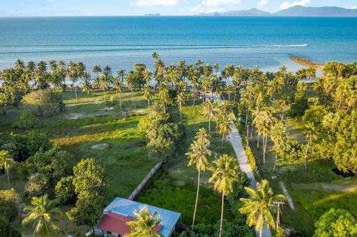 Beach front land plot for sale in Koh Samui