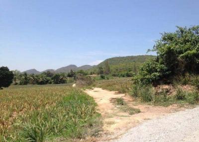 16 Rai of Beautiful View Land very Near Banyan Golf Club