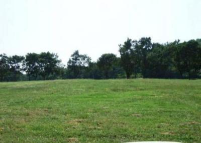 Golf Course Land