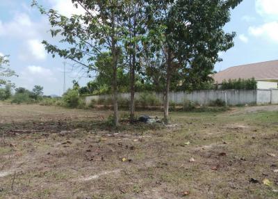 Land in great location in Soi 88