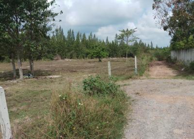 Land in great location in Soi 88